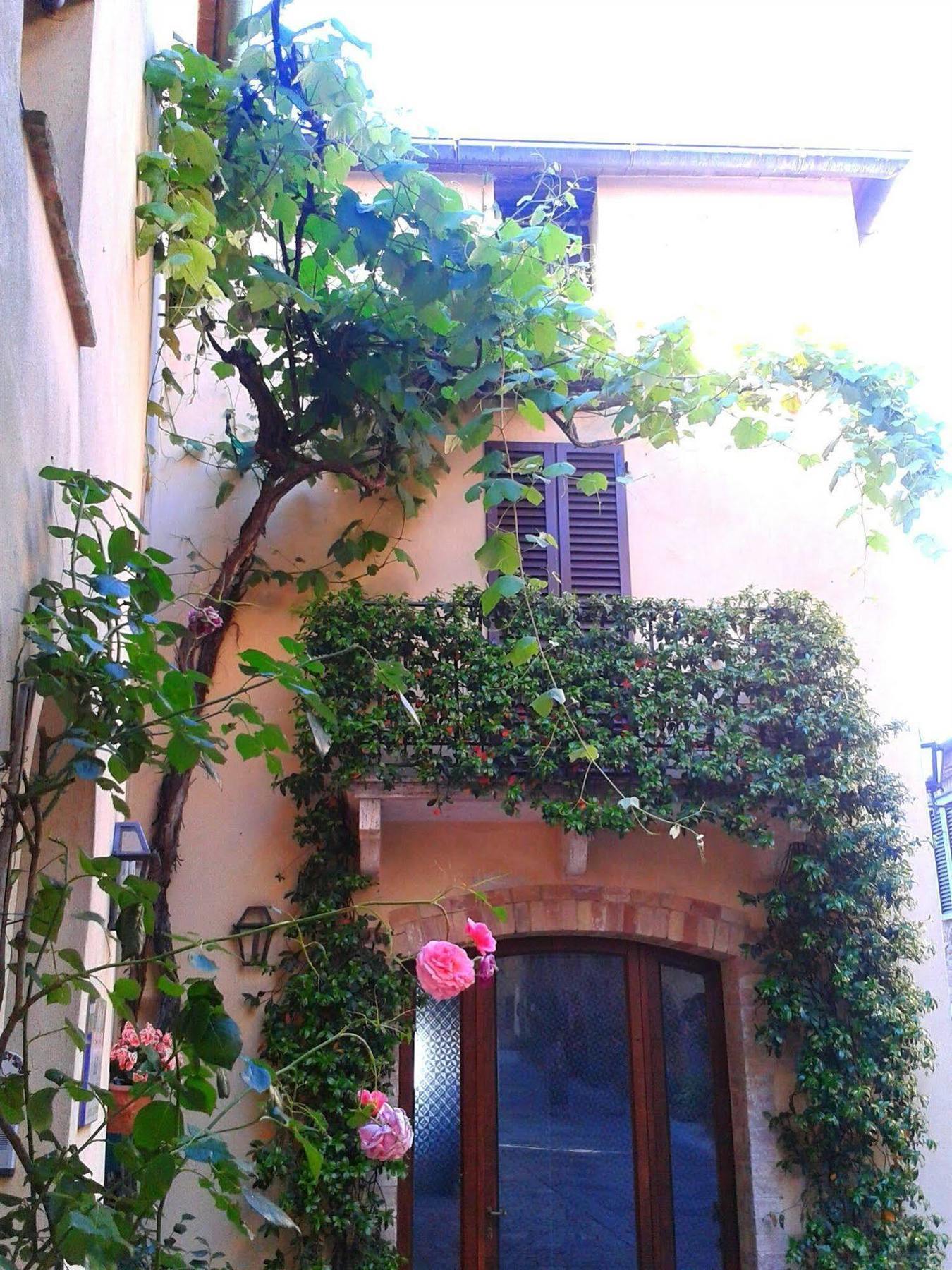 B&B Camere La Vite ピエンツァ エクステリア 写真